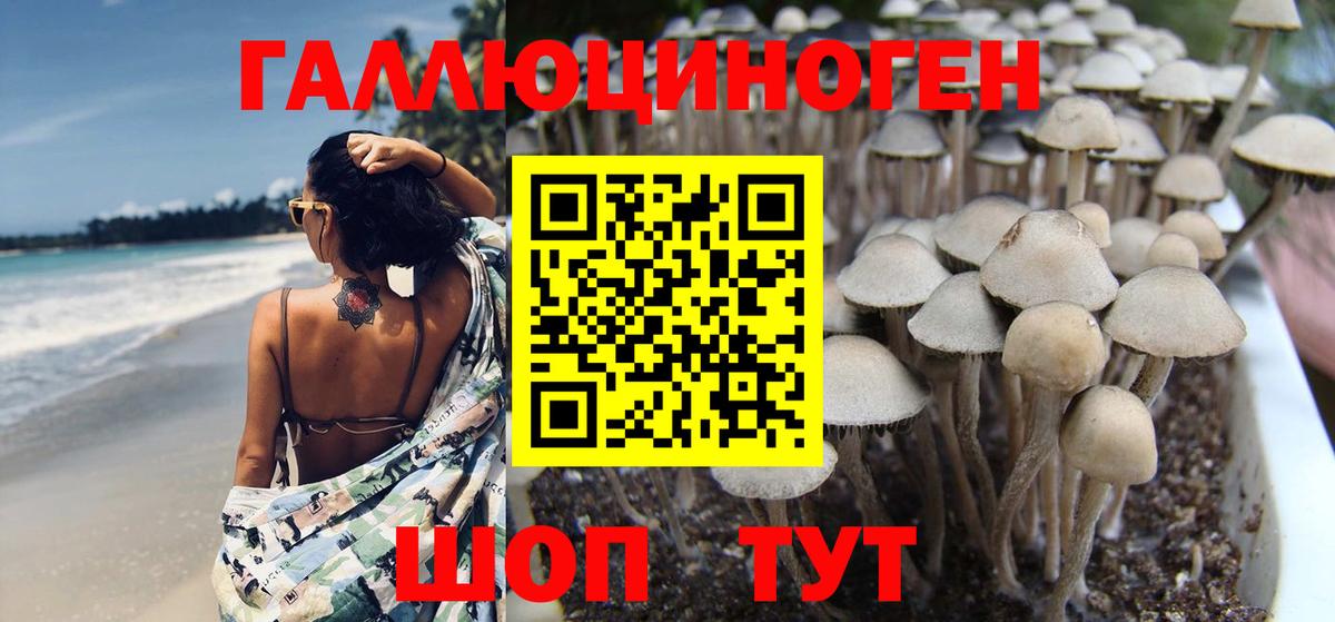 Галлюциногенные грибы Magic Shrooms Ялуторовск